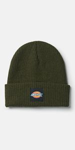 Dickies DK0A4XRY - EVADALE beanie (DT8003)