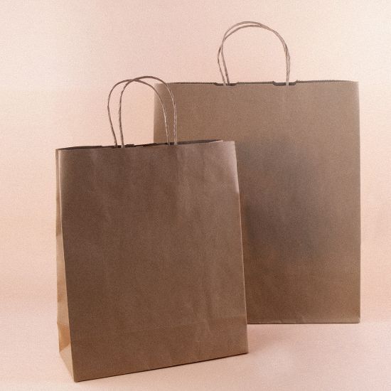 EgotierPro 53580 - Kraft Paper Bag with Twisted Handle AYSEN