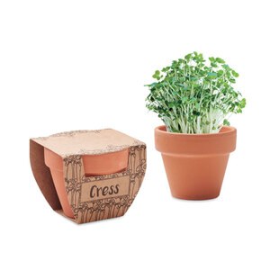 GiftRetail MO2219 - CRESS POT Terracotta pot cress seeds